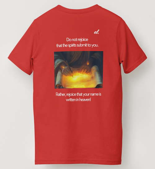 LK 10:19-20 (T-Shirt)